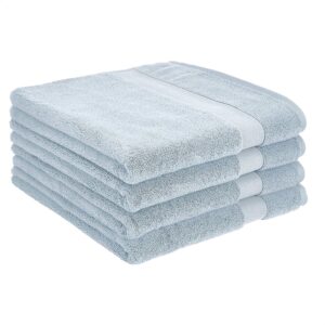 Pack of 2 Sky Blue Economical Kitchen Towels
