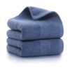 Set of 2 Export Brand Kitchen Towels
